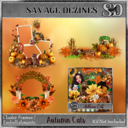 Autumn Cats Clusters