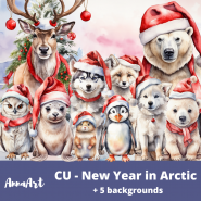 CU - New Year in Arctic