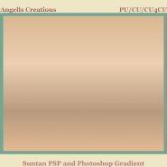 Suntan PSP and Photoshop Gradient