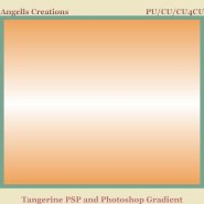 Tangerine PSP and Photoshop Gradient
