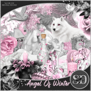 Angel Of Winter Kit