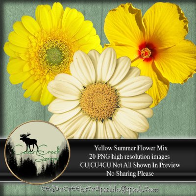 CCS-Yellow Flowers PNG Pack