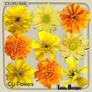 CU Vol. 658 Flowers