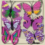 CU Vol. 900 Butterfly by Lemur Designs