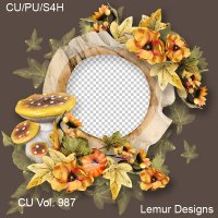 CU Vol. 987 Cluster by Lemur Designs