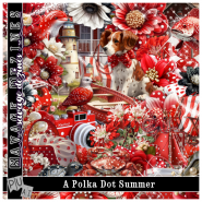 A Polka Dot Summer Kit