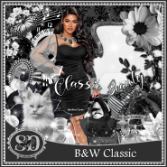 BW Classic Kit