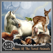 Music Of The Forest Animals