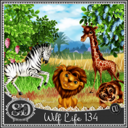 Wild Life 134 TSV