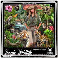 Jungle Wildlife