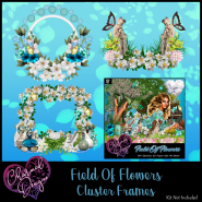 Field Of Flowers Cluster Frames