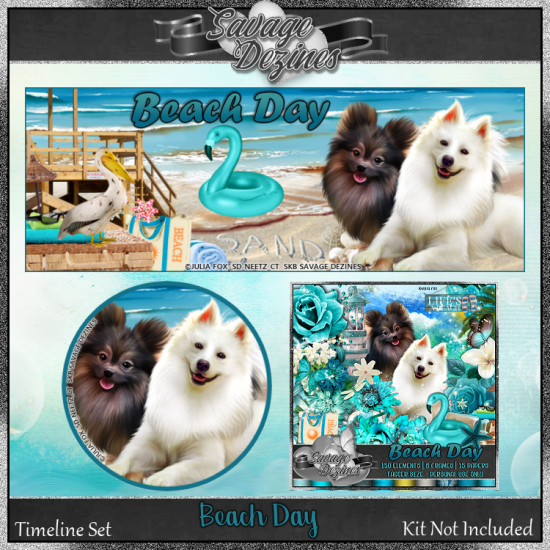 Beach Day Timeline - Click Image to Close