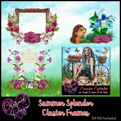Summer Splendor Cluster Frames
