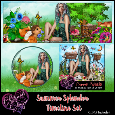 Summer Splendor Timeline Set