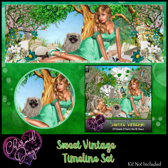 Sweet Vintage Timeline Set - Click Image to Close