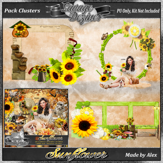 Sunflower Clusters 2 - Click Image to Close