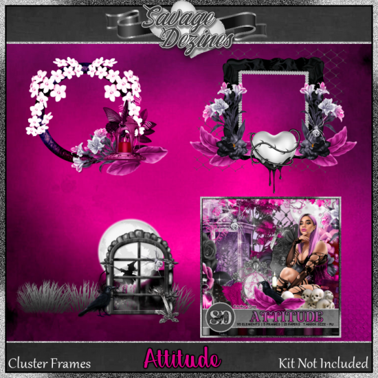 Attitude Clusters - Click Image to Close