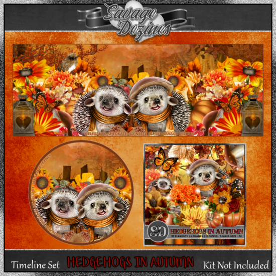 Hedgehogs In Autumn Timeline - Click Image to Close