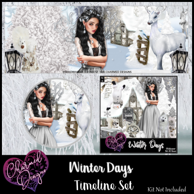 Winter Days Timeline Set