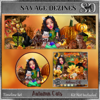 Autumn Cats Timeline