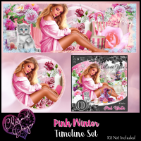 Pink Winter Timeline Set