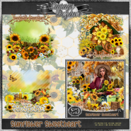 Sunflower Sweetheart CF 2