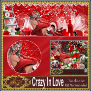 Crazy In Love TL1