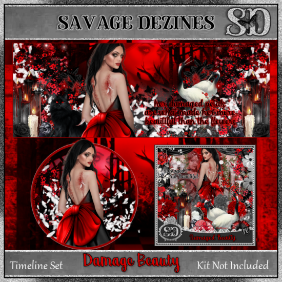 Damaged Beauty TL 1 - Click Image to Close