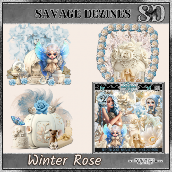 Winter Rose CF - Click Image to Close