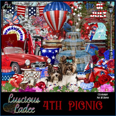 4th Picnic