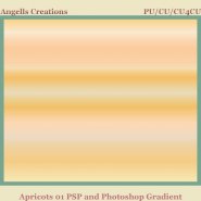 Apricots PSP and Photoshop Gradient 1
