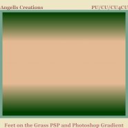 Feet on the Grass PSP and Photoshop Gradient