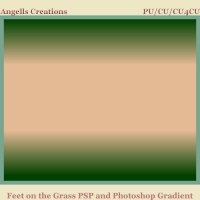 Feet on the Grass PSP and Photoshop Gradient