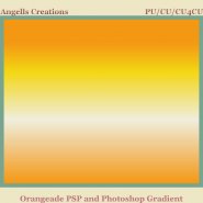 Orangeade PSP and Photoshop Gradient