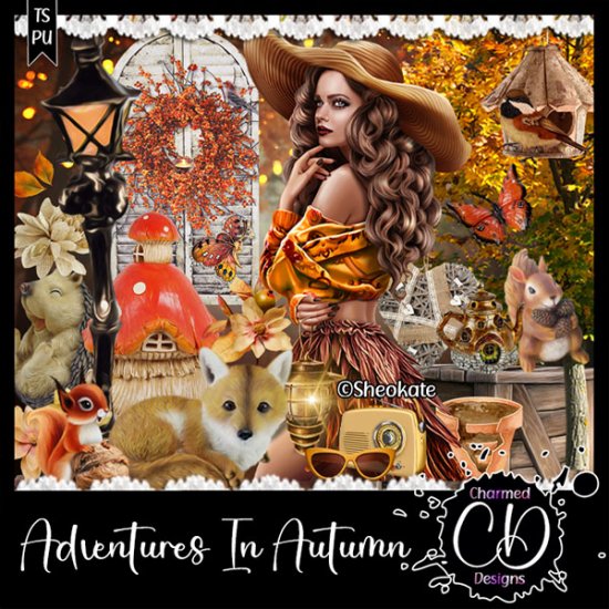 Adventures In Autumn - Click Image to Close