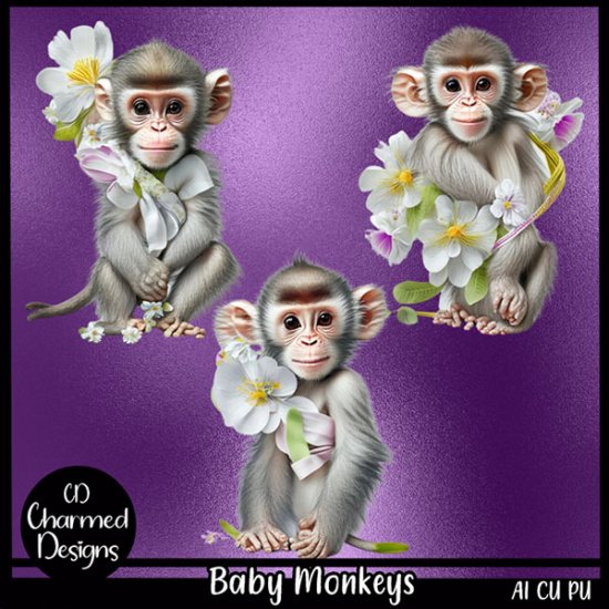 Baby Monkeys - Click Image to Close