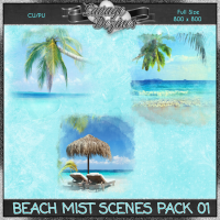 Beach Mist Scenes 01 CU4PU