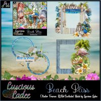 Beach Bliss Cluster Frames