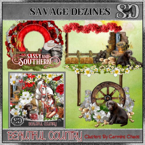 Beautiful Country CF 2 - Click Image to Close