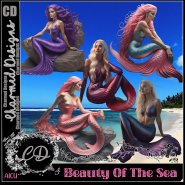 Beauty OF The Sea