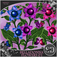 Belladonna Flowers 01