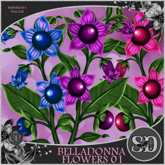 Belladonna Flowers 01 - Click Image to Close