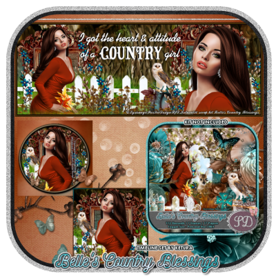 Belles Country Blessings Timeline Set