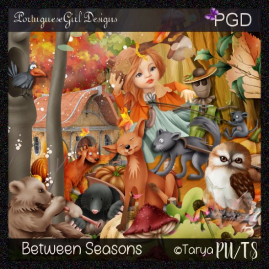 Between Seasons - Click Image to Close