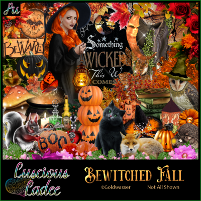 Bewitched Fall