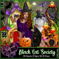 Black Cat Society