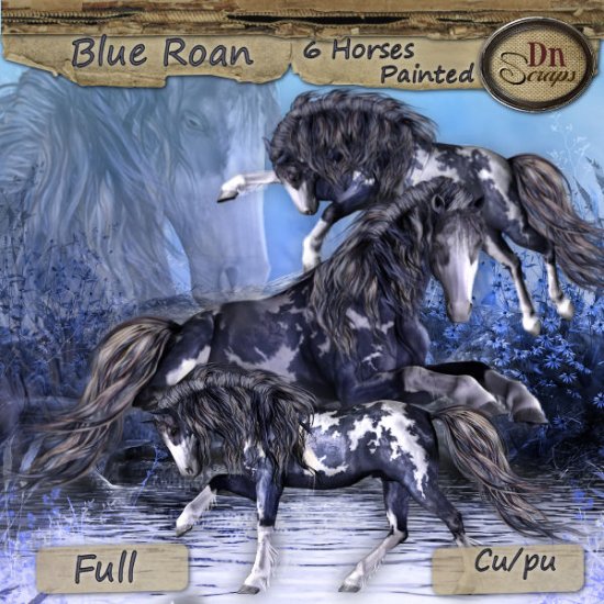 Blue Roan - Click Image to Close