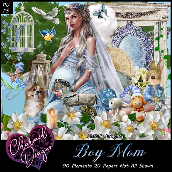Boy Mom - Click Image to Close