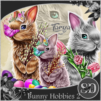 Bunny Hobbies 2