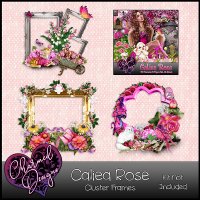 Caliea Rose Cluster Frames